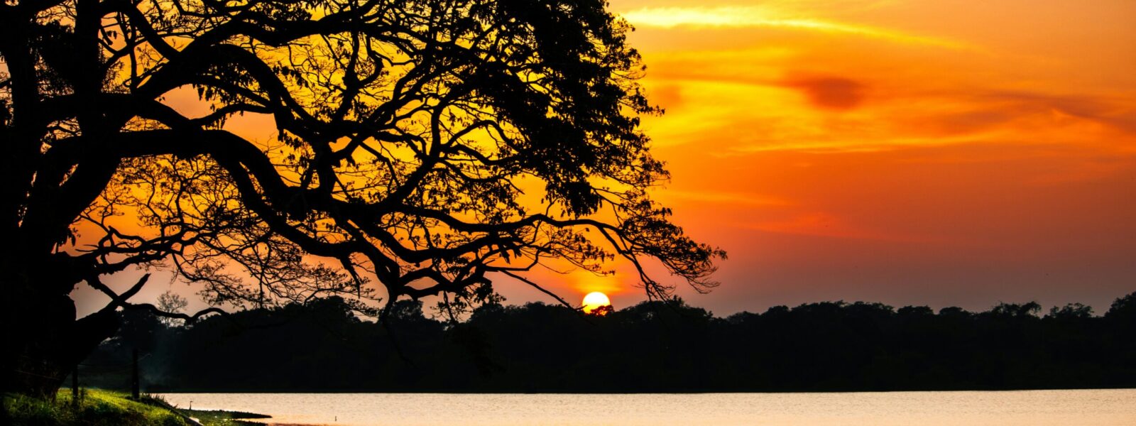 Wilpattu National Park